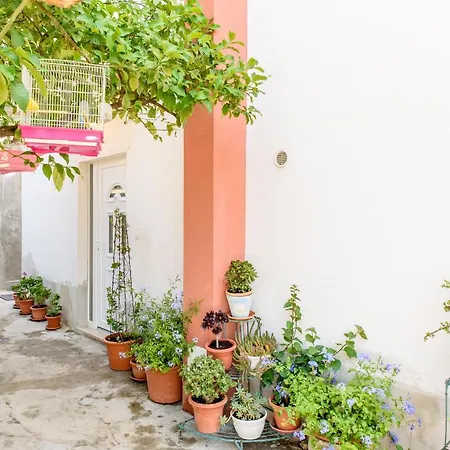 Lu Jesenice (Split-Dalmatia)